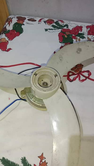 12 volt Dc fan