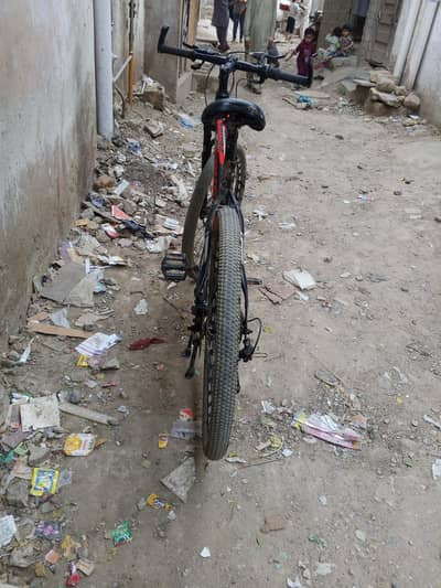 new cycle