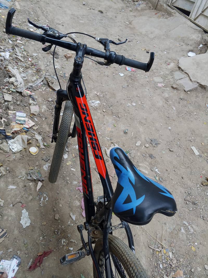 new cycle 1