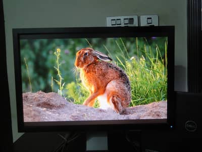 Dell 22 inch monitor