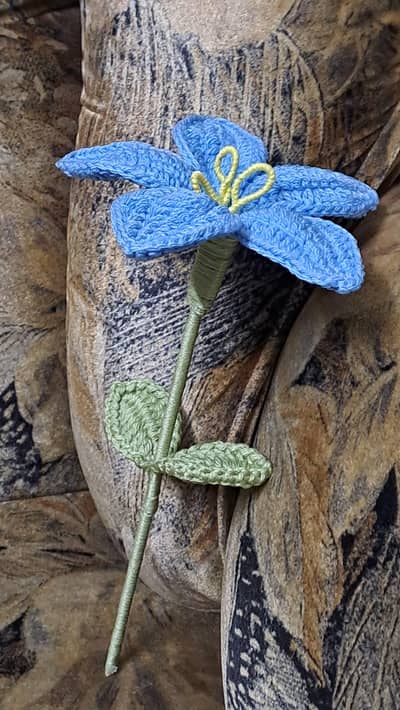 lilly flower