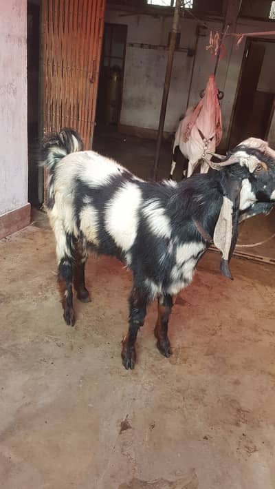 For sale
