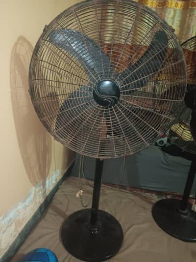 pedestal fan
