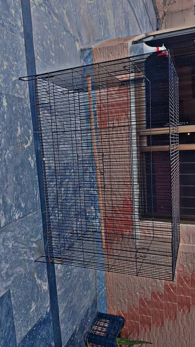 Bird cage Pinjra for sale