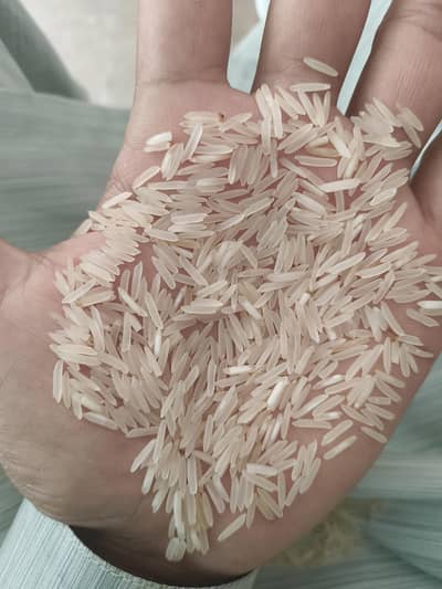 kainat steam rice