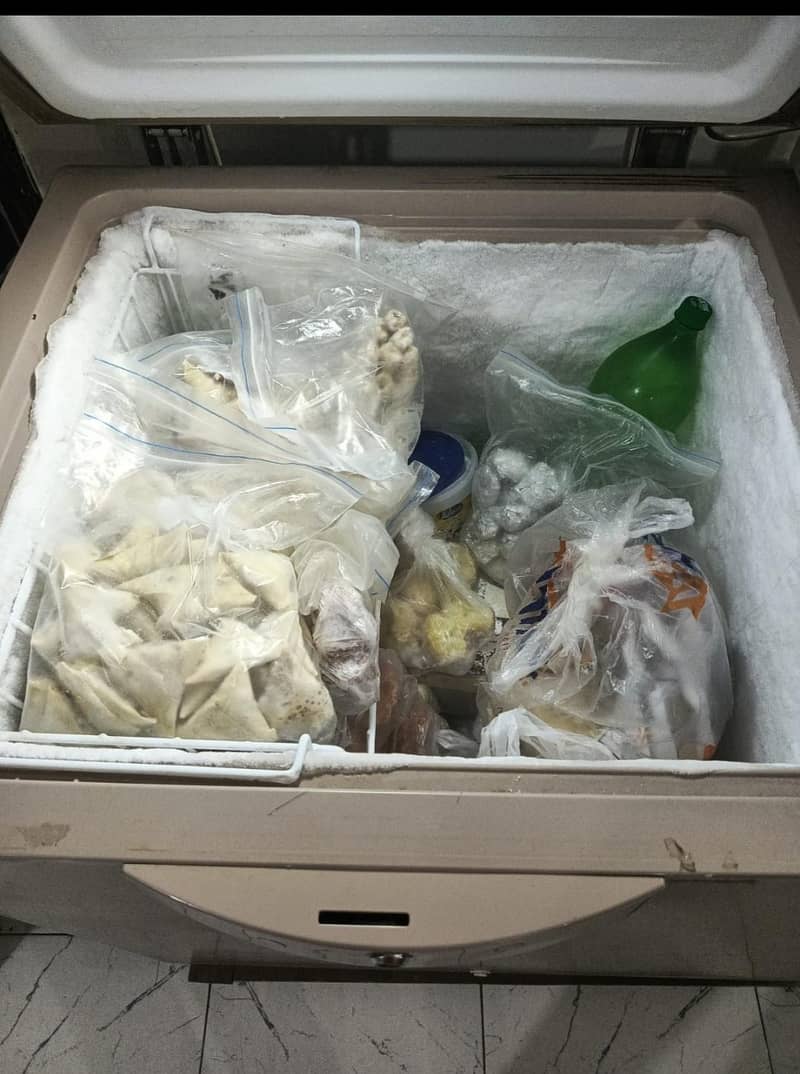 Dawlance good condition and inverter 5