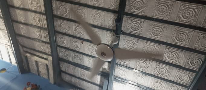 Fan high quilaty