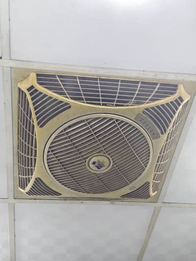 Selling Royal Fans