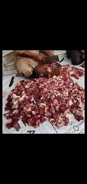 Qurbani ka janwar zibha karwae munasib rate ma