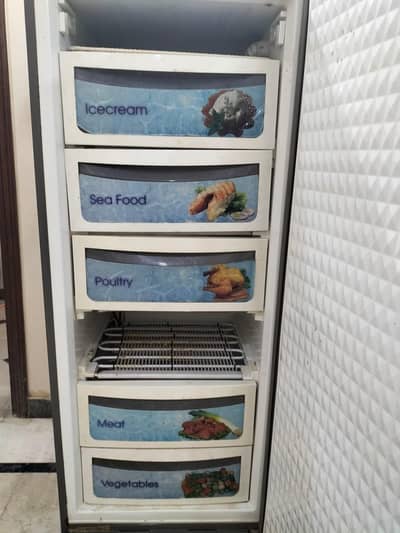 Dawlance vertical freezer