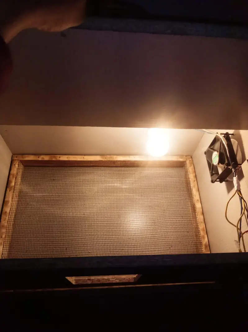 Brooder or incubator or accessories