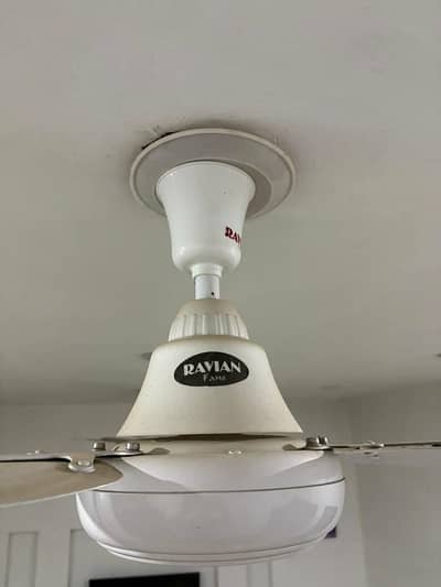 ceiling Fan