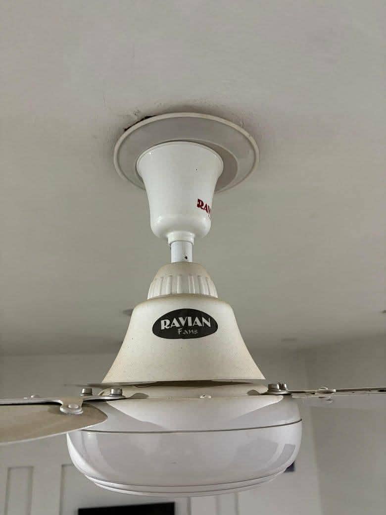 ceiling Fan 0