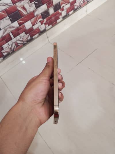 I am selling iPhone 12 pro Max