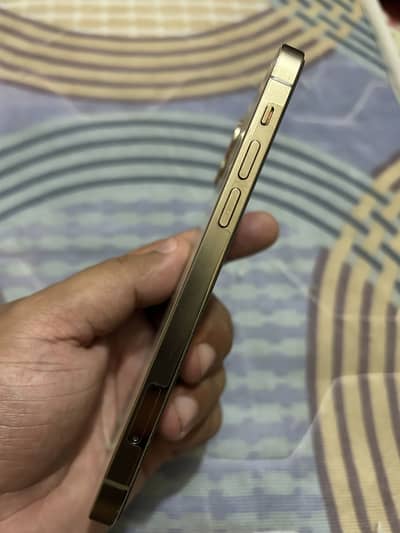 iPhone 12 Pro