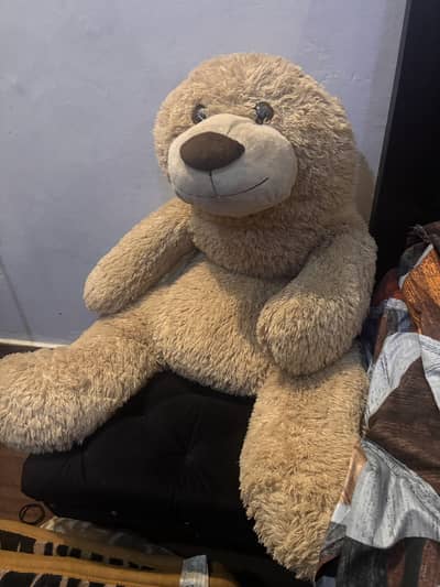 Giant size Teddy Bear