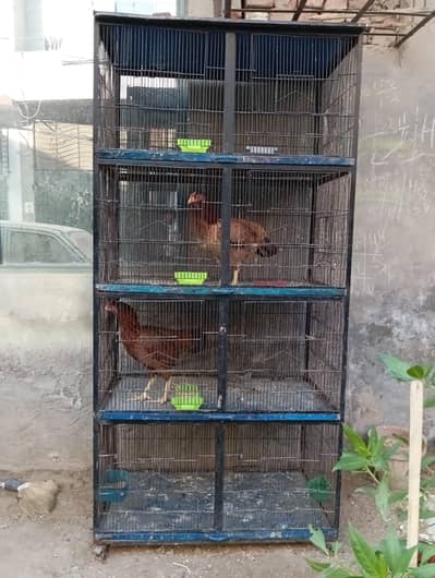 cage for sale