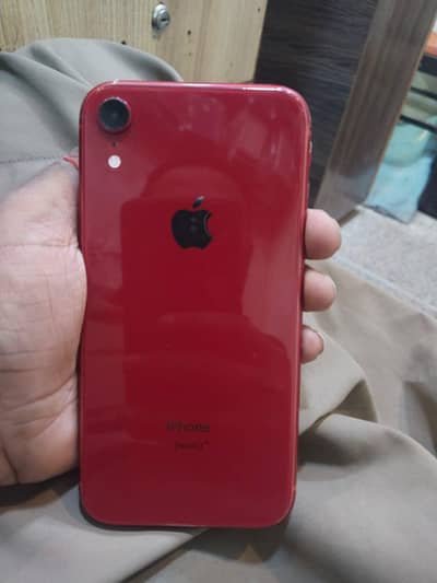 iPhone XR