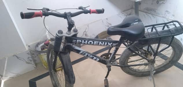 New Phoinex cycle
