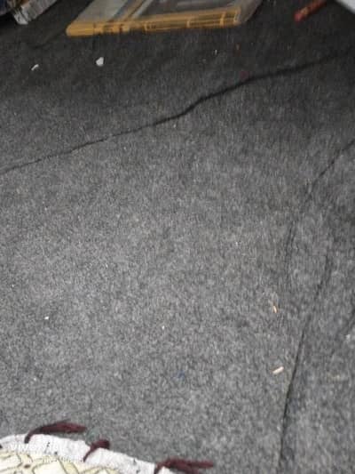 Carpet for Kings