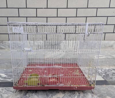 Parrot Cage