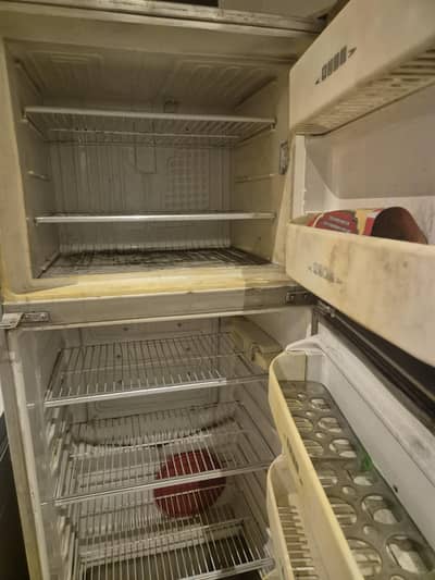 refrigerator and deep freezer