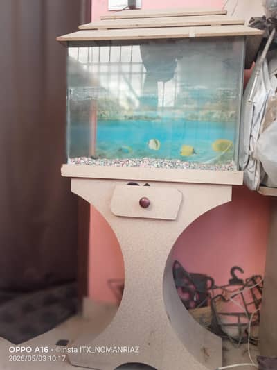 fish aquarium