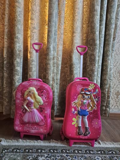 school bag, luggage bag