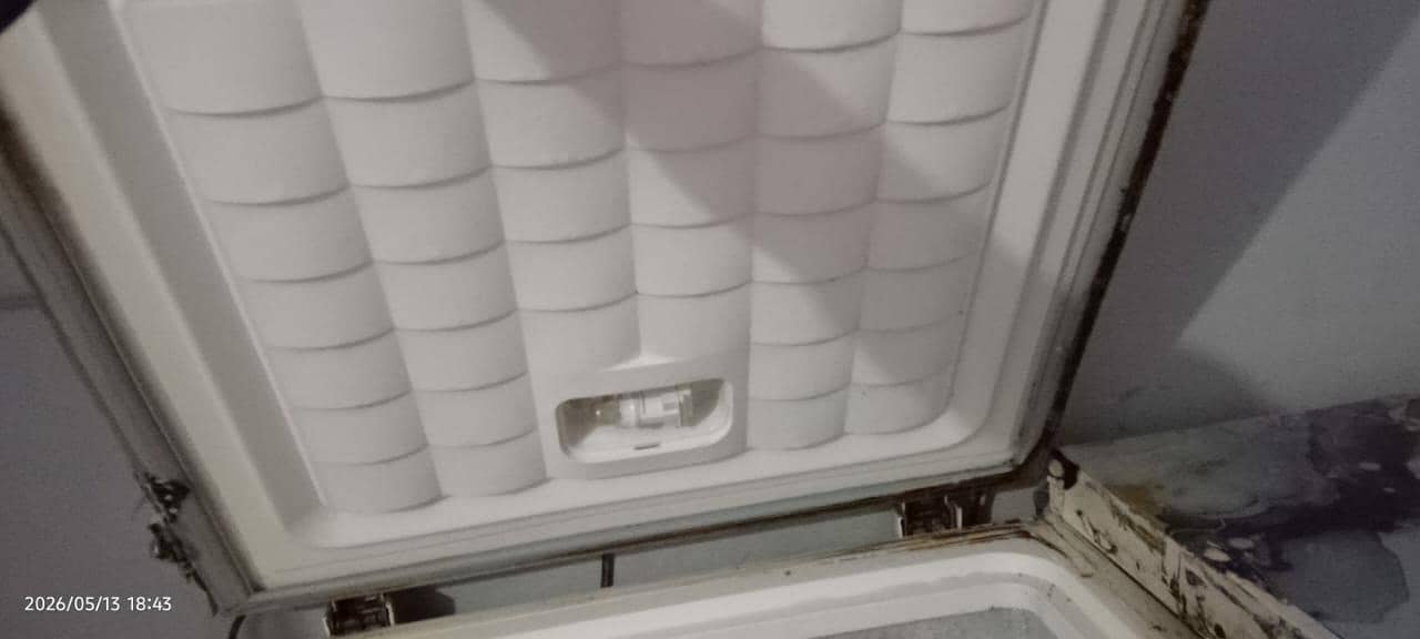 Freezer 10