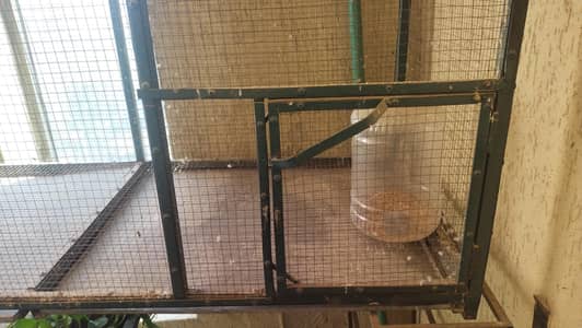 double door cage