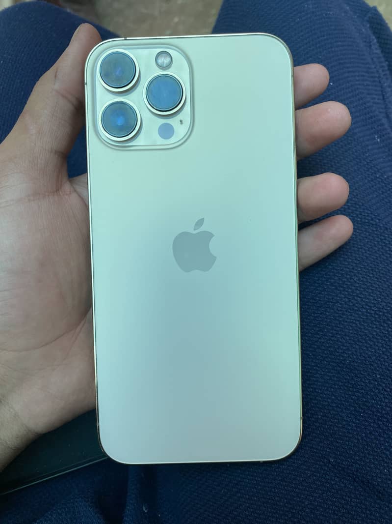 13 pro max 1
