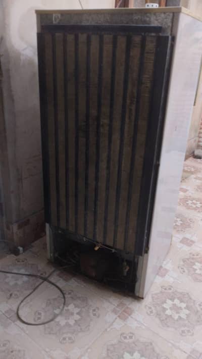 Fridge and refrigerator Pel Company Jumbo size