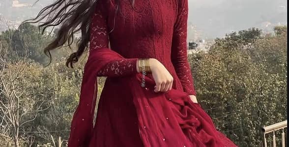 Elegant anarkali
