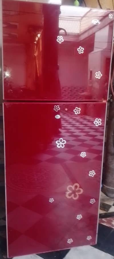 Refrigerator & vertical Freezer
