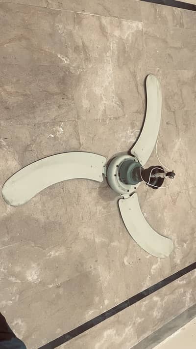 Ceiling Fans Large size