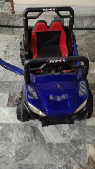 baby pajaro car