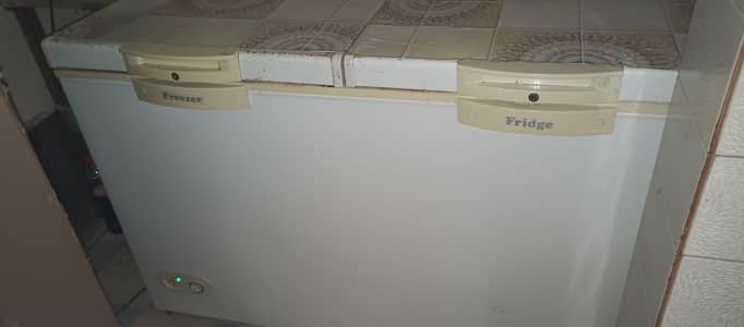 WAVES deep freezer 2 door used- good condition
