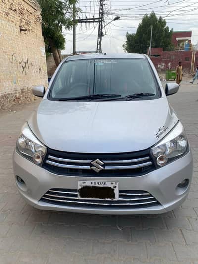 caltus for sale contact number 0301/6500/409