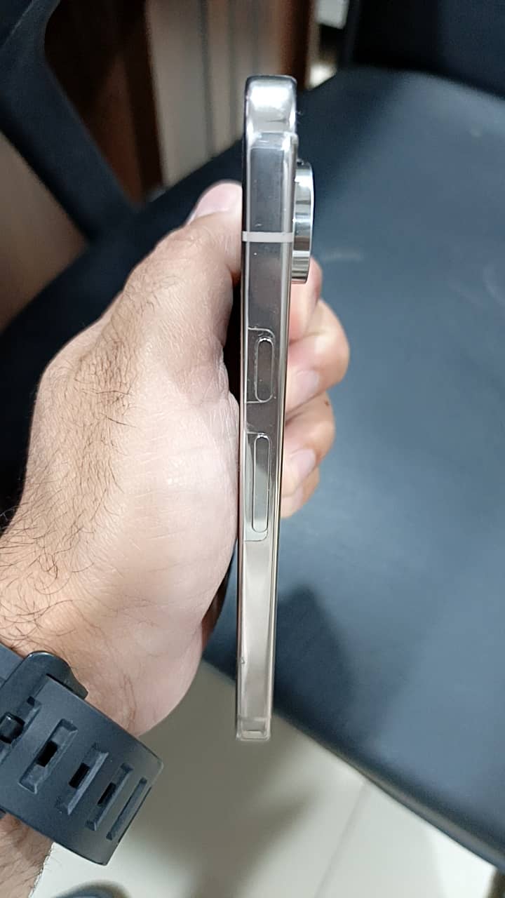 Google Pixel 9 Pro 1