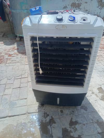 12v AC DC coolar