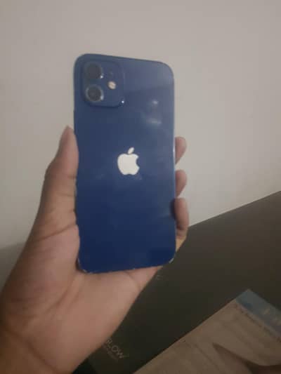 I phone 12 dual pta