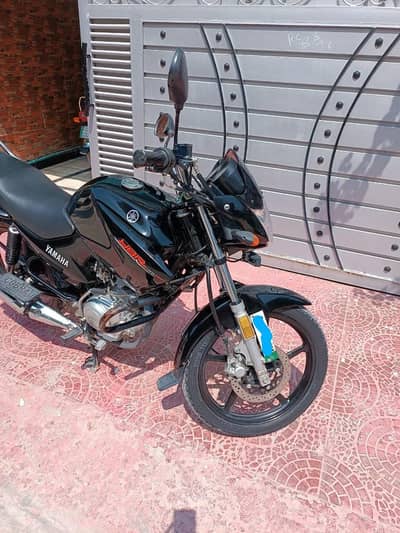 Yamaha YBR 125 2019 model for sale
