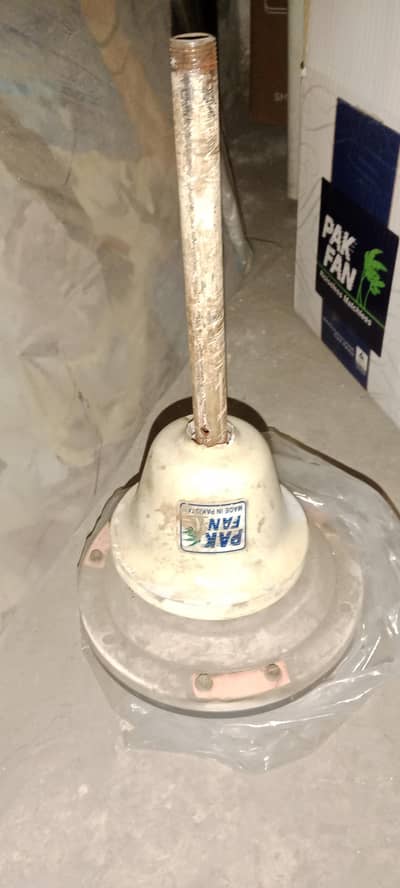 pak fan 56 inch wings