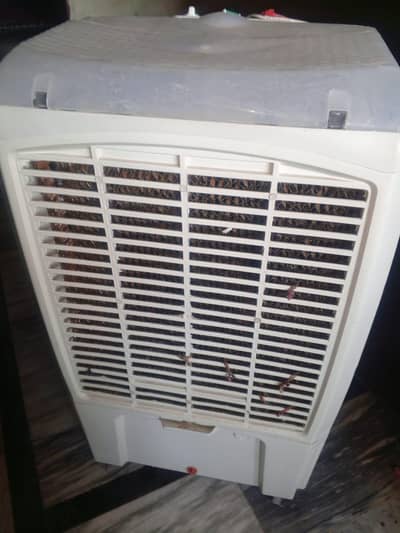 Asia air cooler condition 10by9