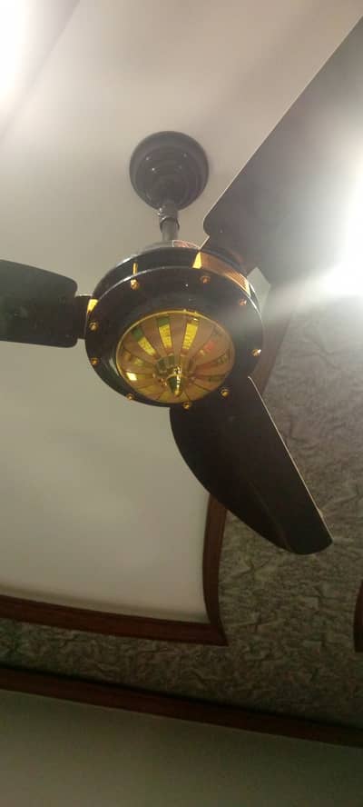 12 V AC/DC ceiling fan