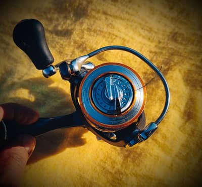 Daiwa Reel