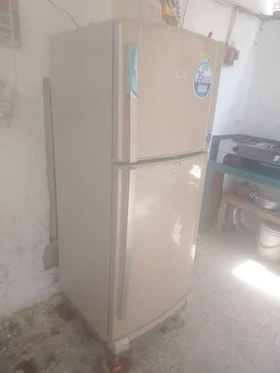 urgent sell Dolans freg beautiful clr ful new box