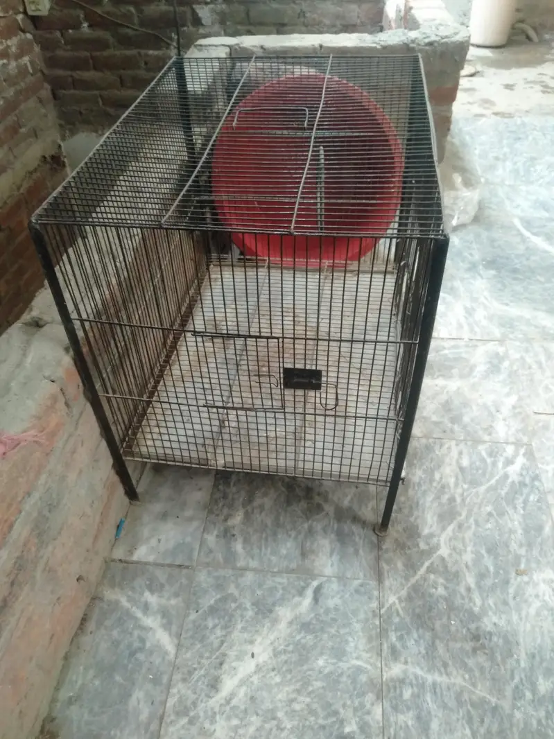 Black Cage for birds & Animals — photo 2