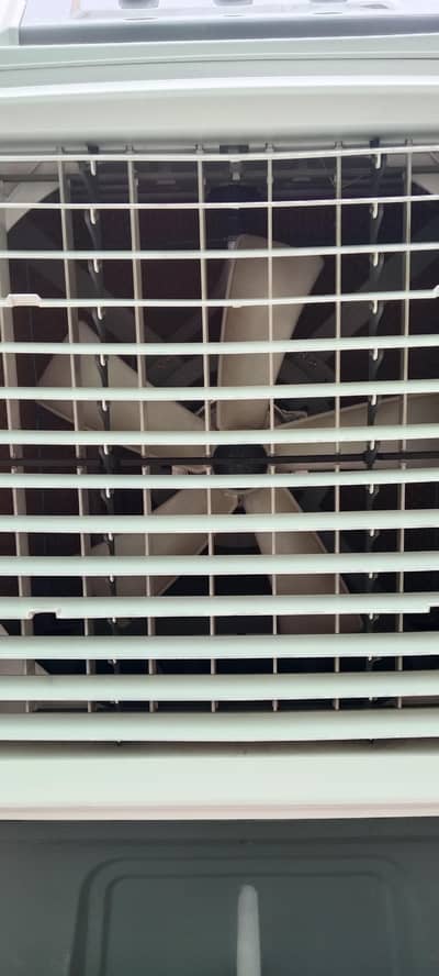Air cooler