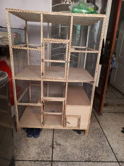 parrot/hen cage